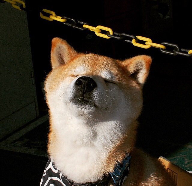 中超球队临场应变机制效果