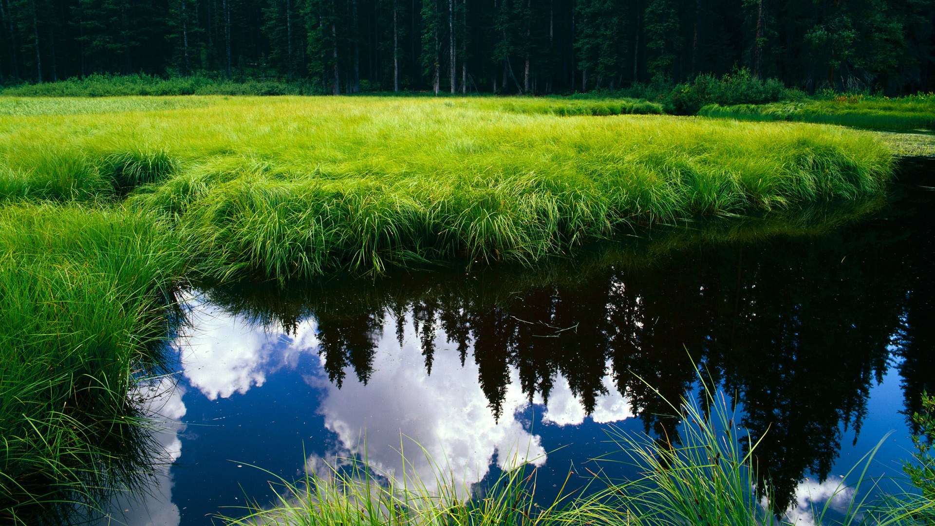 全国青少年射箭锦标赛精彩纷呈,群雄逐鹿,全国青少年射箭比赛