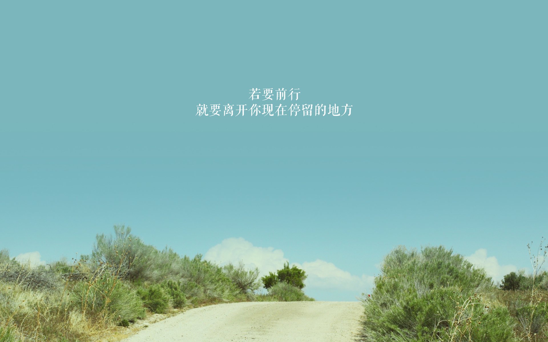 国足年度球员角色转换适配度分析，国足人员配置