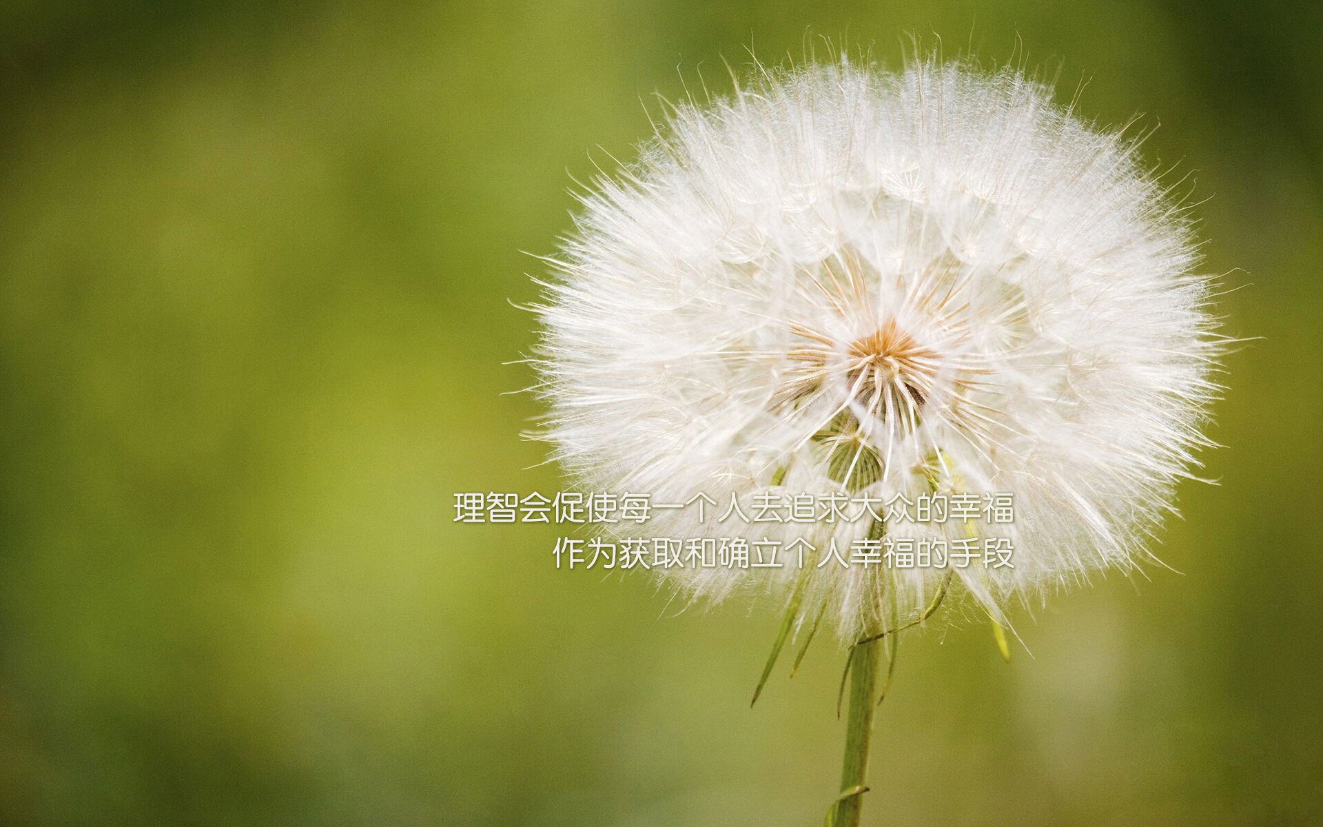 英超球队视频分析系统提升中场组织与防守协作效率,英超球队球场