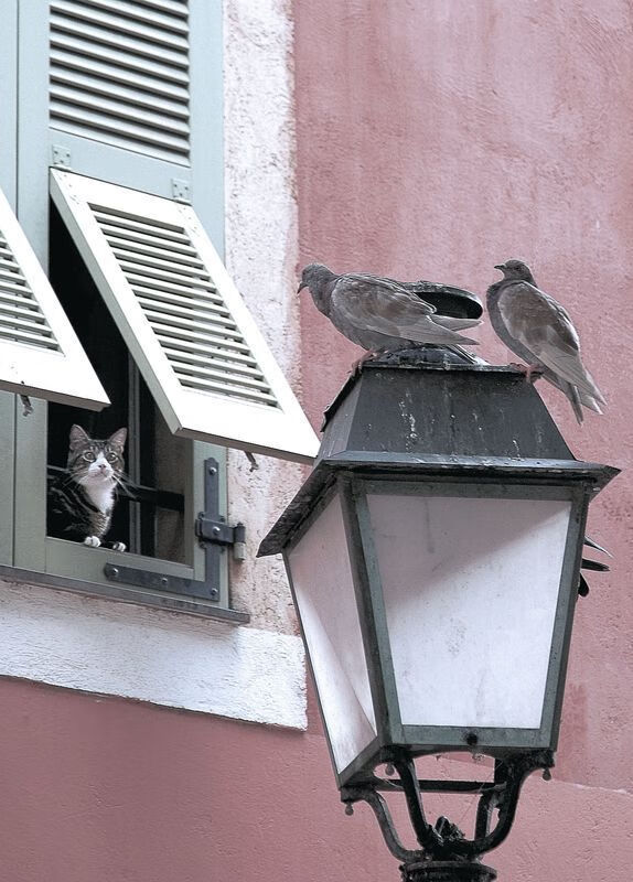 中国男篮全力冲刺赛季冠军,中国男篮全力冲刺赛季冠军是谁