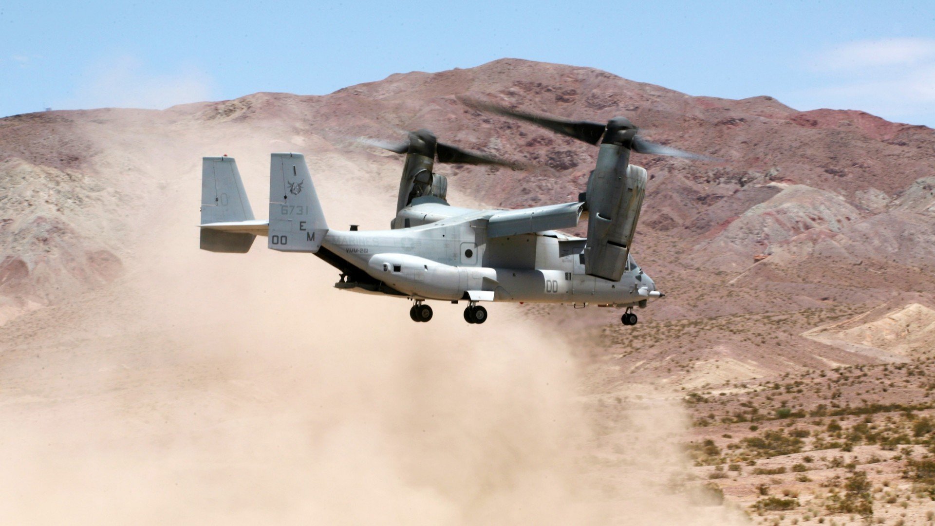 北京鸭关注青训体系培养未来篮球人才,北京鸭是哪个篮球队