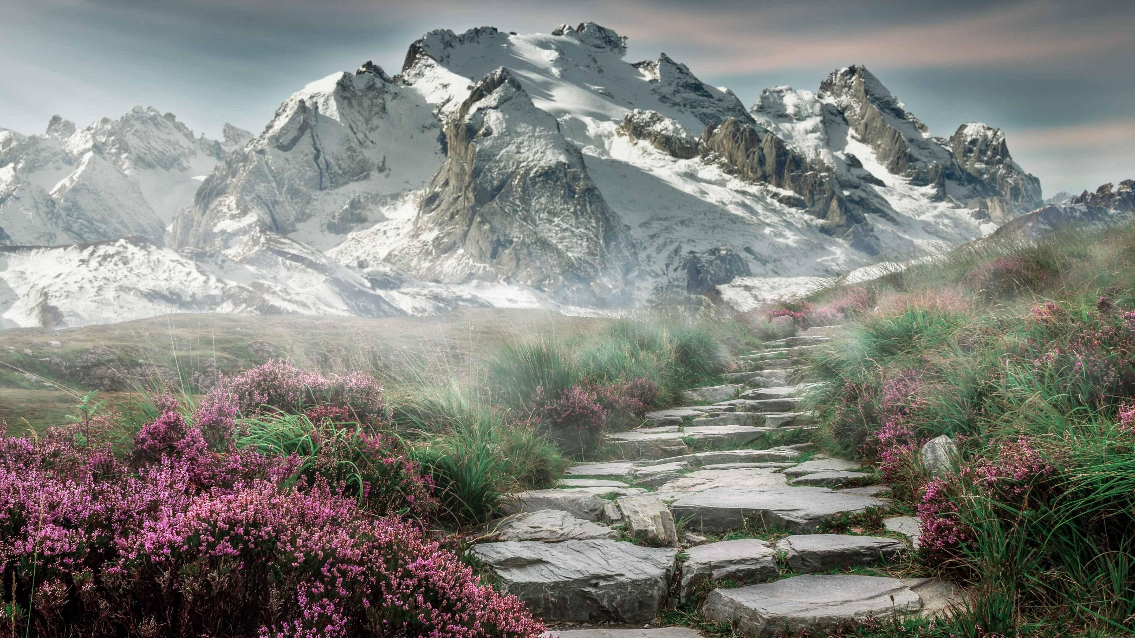 联赛中期战术打法趋同是否降低技术流球队胜率