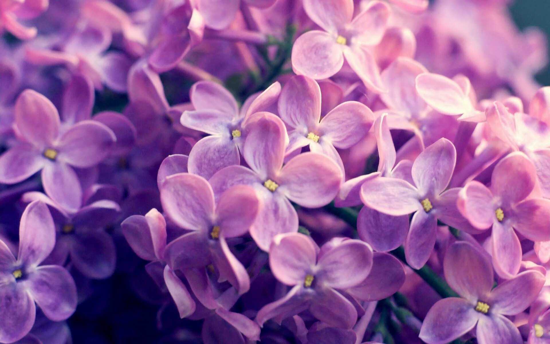 赫罗纳后场稳固逐步化解对手攻势,赫罗纳队服