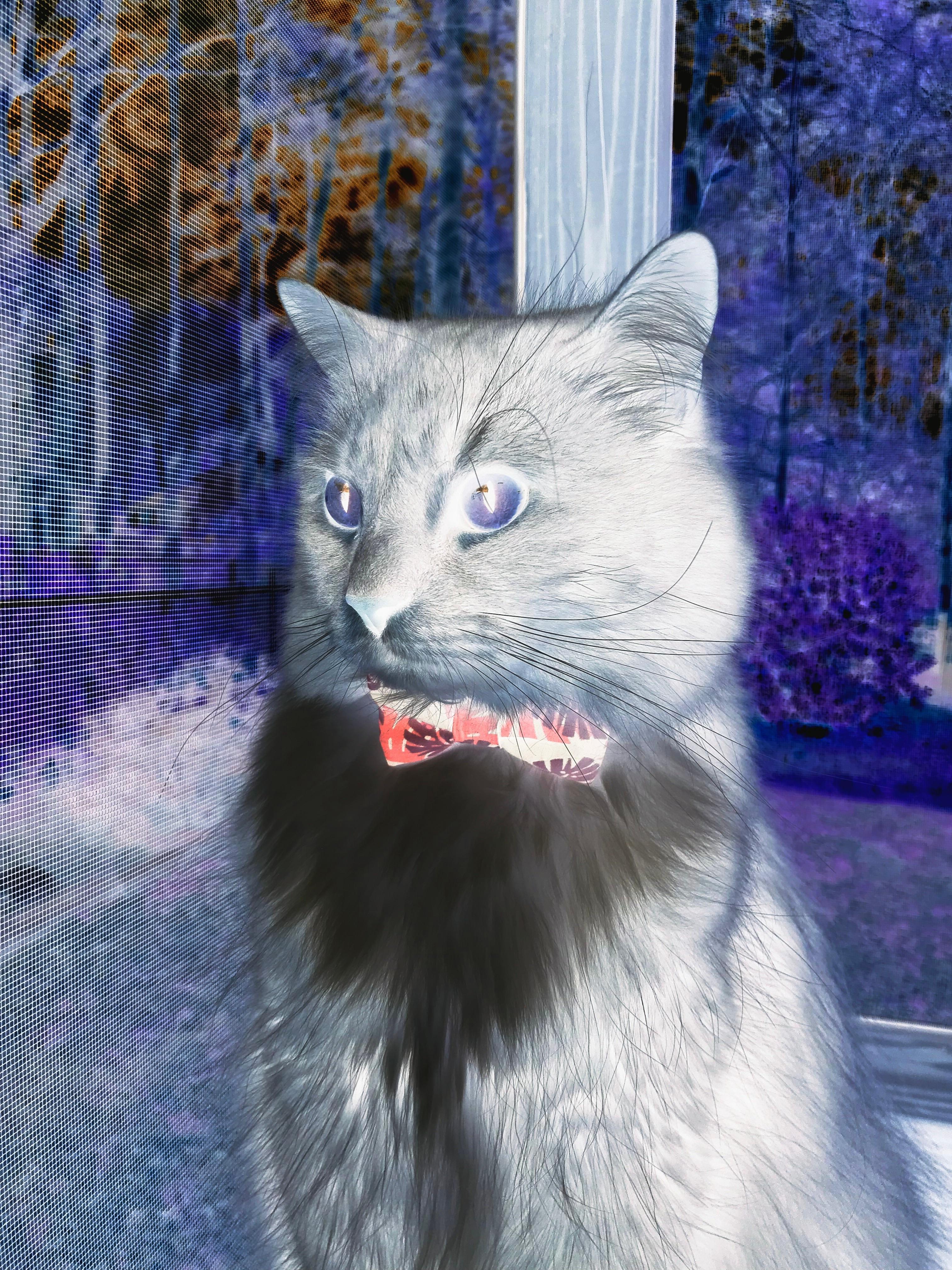 曼城大胜利物浦积分反超登顶,曼城1_4利物浦