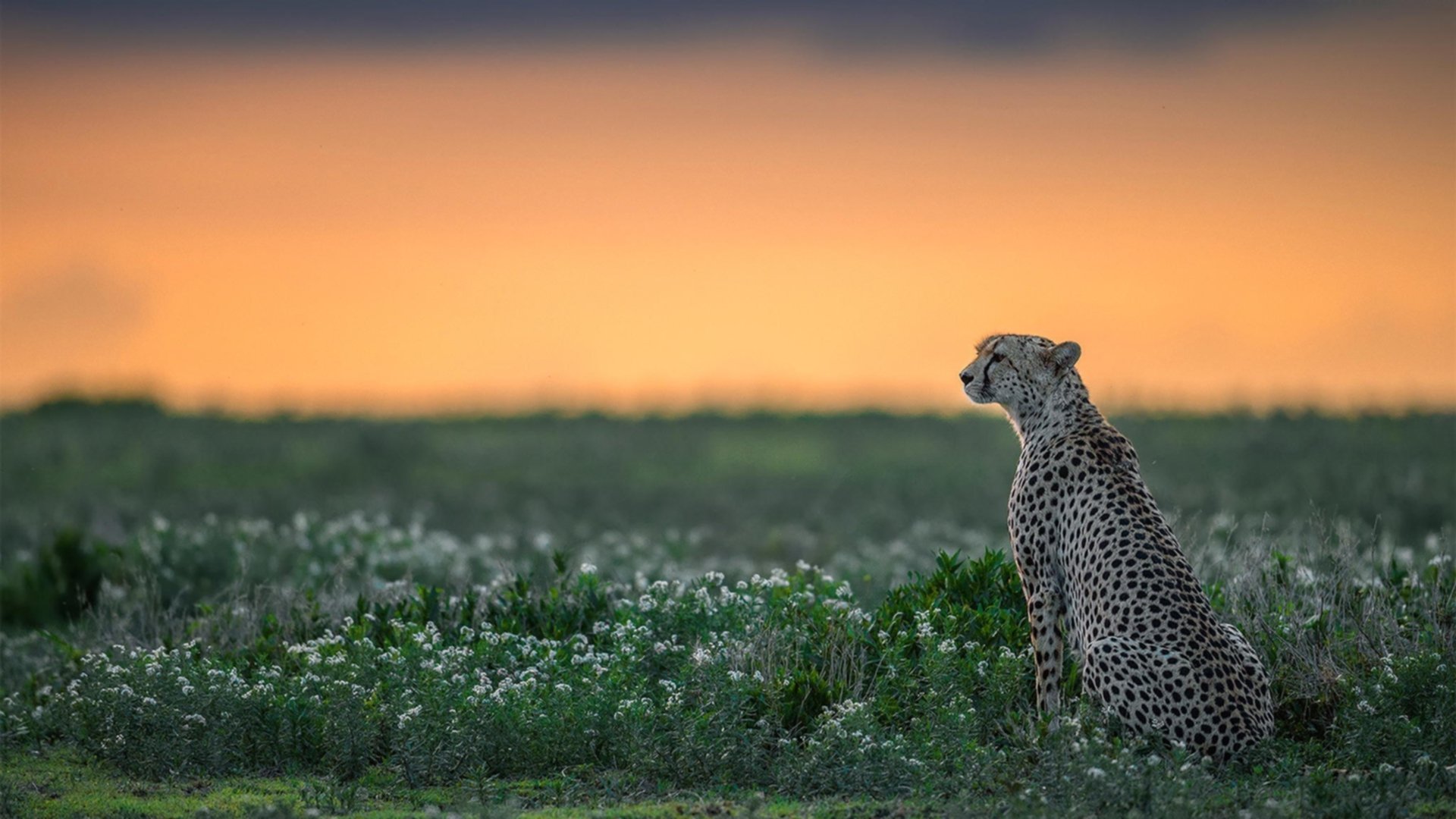 9人药厂新帅3-1夺首胜，滕哈格11打10遗憾被绝平，滕哈格续约