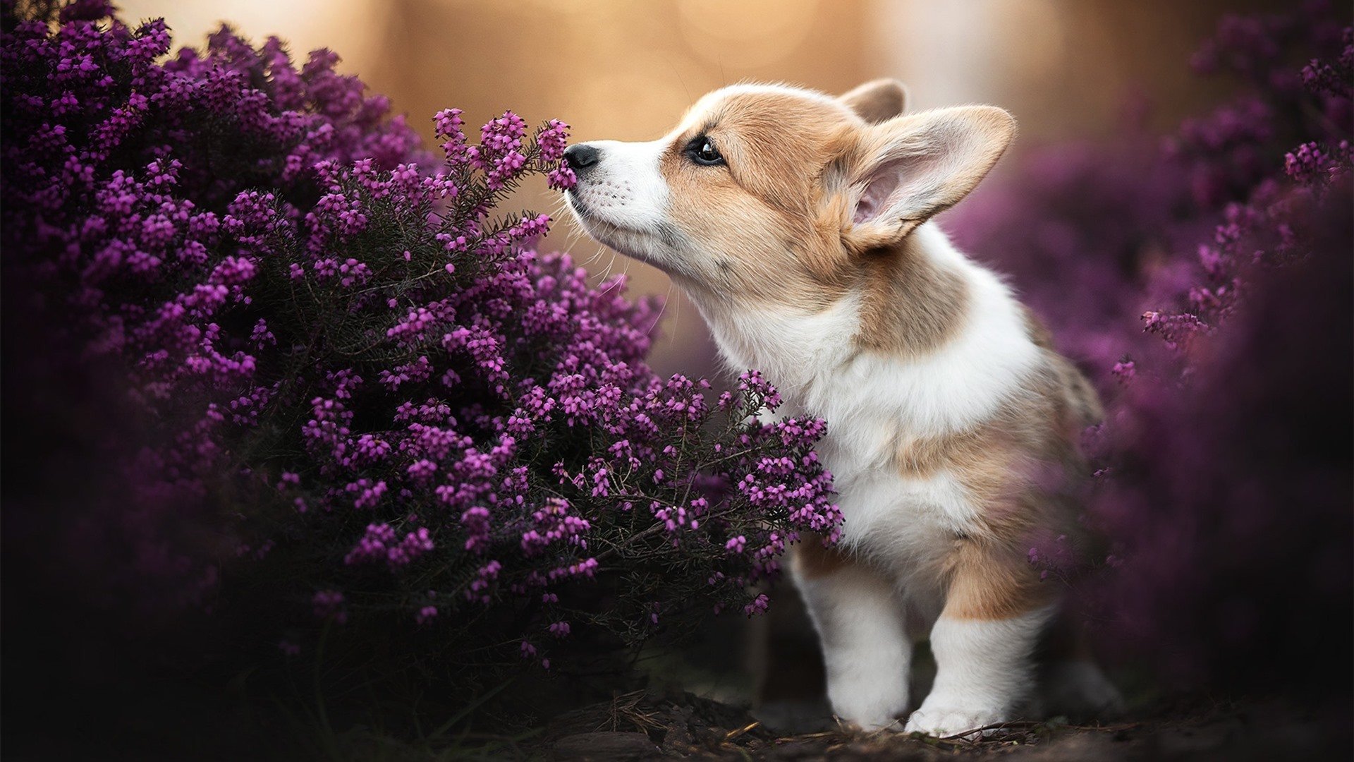 开云体育app在线-与顶级队友切磋，方博体会到压力与动力并存，方博实力