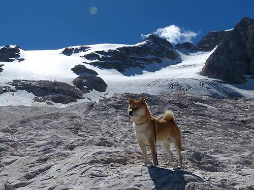 东西部冠军谁主沉浮,2020东西部冠军